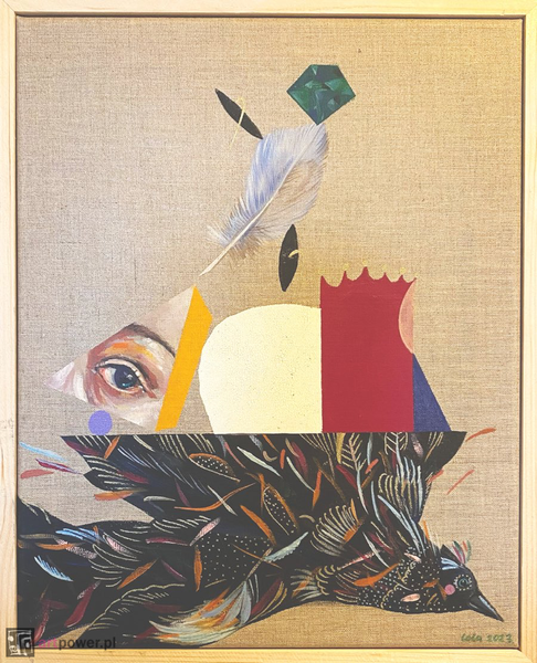 Inside Look z zaczarowanym ptakiem