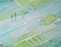 Rytm ryżowych pól 4