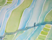 Rytm ryżowych pól 8