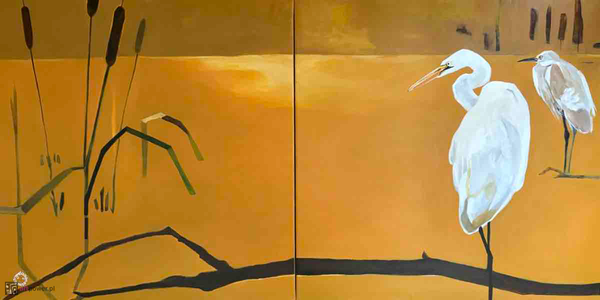 Białe czaple z cyklu Stawy