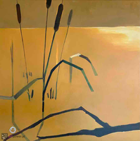 Białe czaple z cyklu Stawy - 3