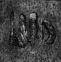 Hortus Conclusus VII