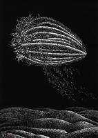 Hortus Conclusus XIV