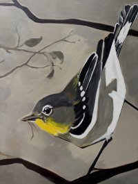 Budowanie gniazda - 2