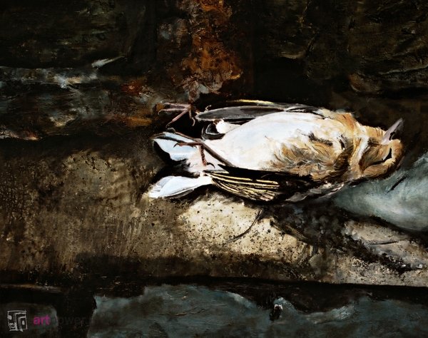 Z cyklu Ptaki we wnętrzu