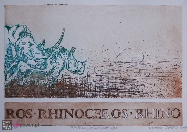 Rhinoceros