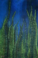 Oczami świerszcza sekundnika II - 1