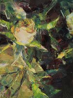 Ogród różany XXX - 1