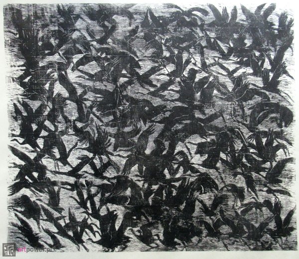 Wniebowstąpienienie - Żurawie