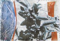 Magiczny ogród 23 - 1