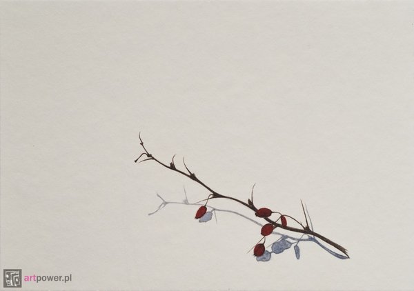 Berberys we wnętrzu