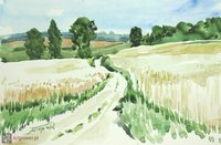 Przez mazowieckie pola